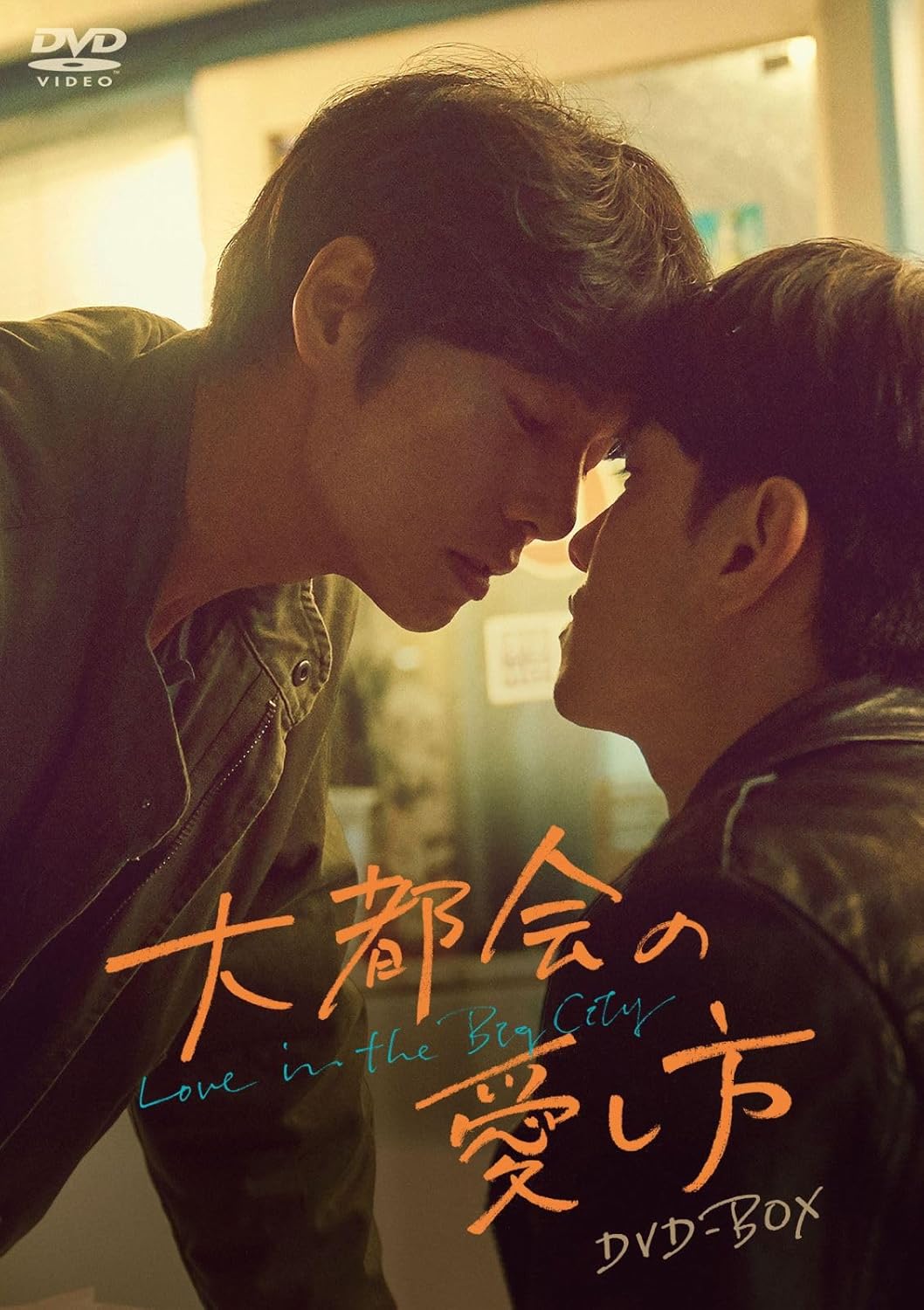 韓国BLドラマ 大都会の愛し方 ～Love in the Big City～ DVD 日本語字幕 全８話 トールケース付 [並行輸入