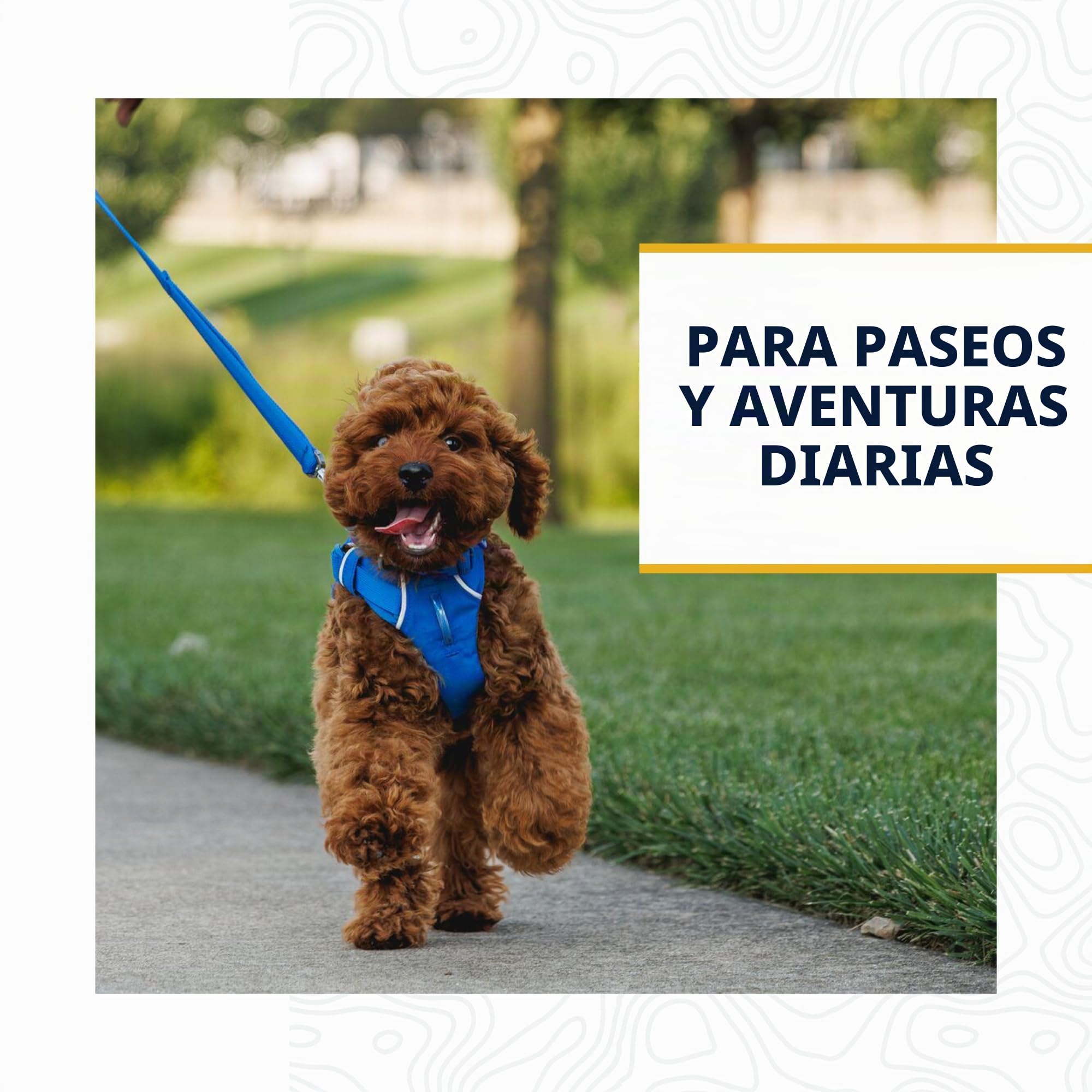 RUFFWEAR Correa de Perro, Front Range Leash, Ligera y Duradera, 1,5 m con manija Acolchada y Clip Crux Giratorio Seguro, Correa Tubelok compacta y aerodinámica, Coastal Fade