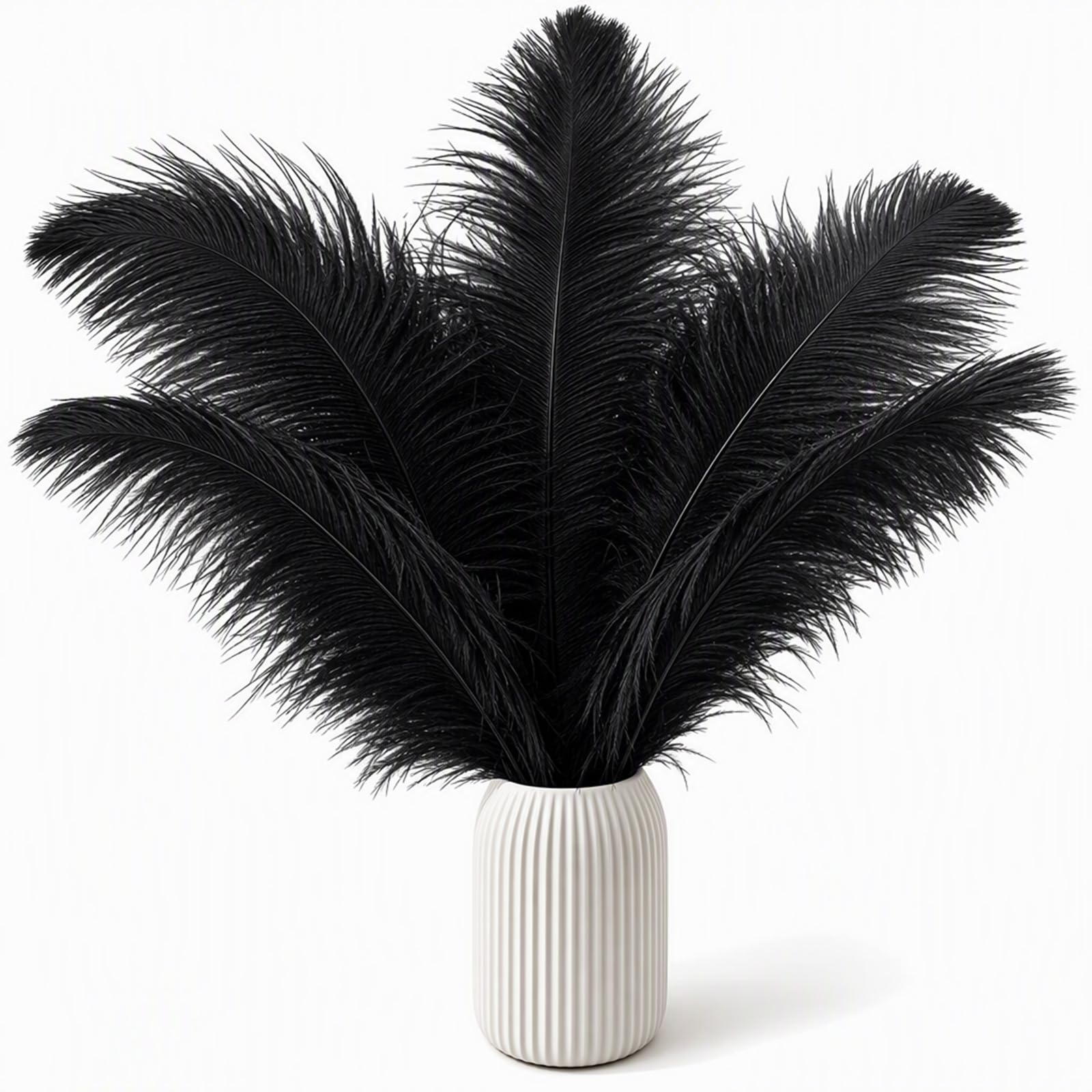 Black Ostrich Feathers 12-Pack, 20-25cm for Crafting