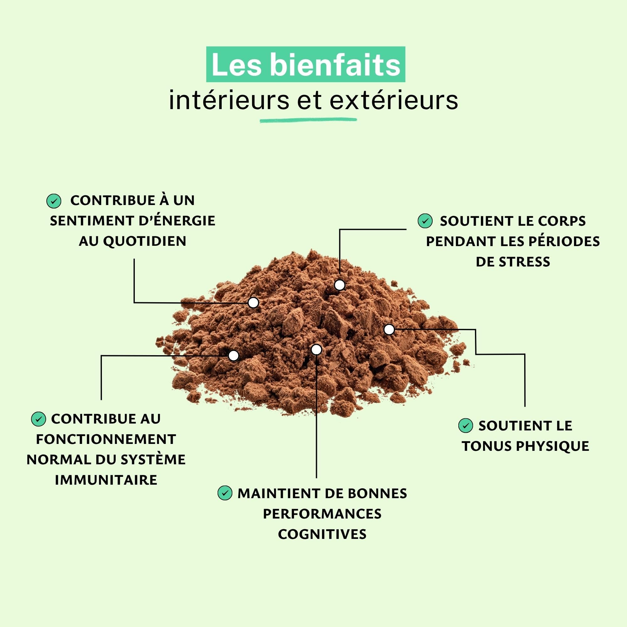 Ginseng Rouge Poudre Pure | Boostez l'Énergie, la Vitalité et la Concentration | 100% Naturel | Idéal pour l'Endurance et le Bien-être | Sans Additifs | Made in France, Rue des Plantes (100g)