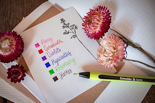 Miniatura 3 de Marcador Schneider con punta biselada, Púrpura