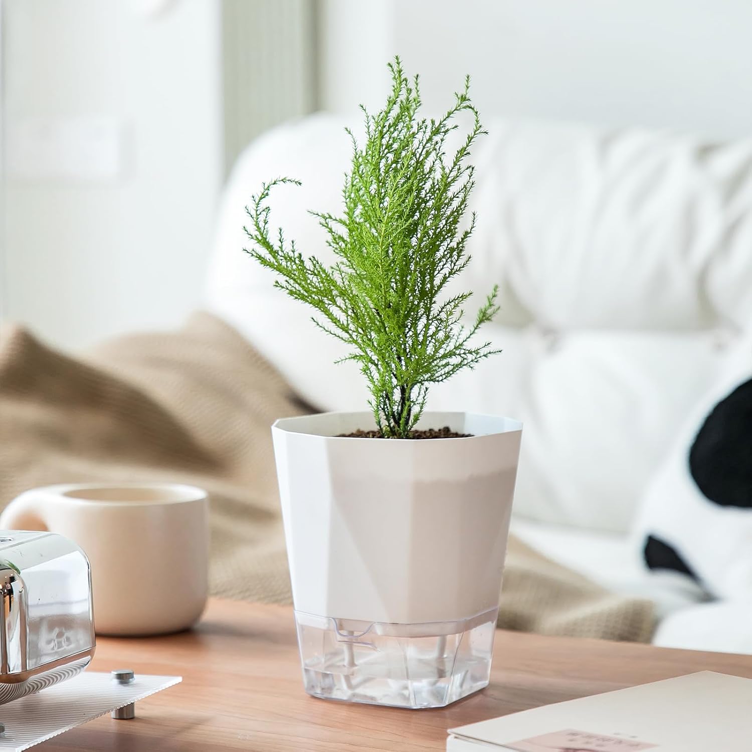 6-Pack Self Watering Planter Pots, 5 Inch Plastic Planters with Drainage Holes, Cotton Rope and Trays, Decorative Flower Pots for Indoor Outdoor Garden Plants (White) - Image 5