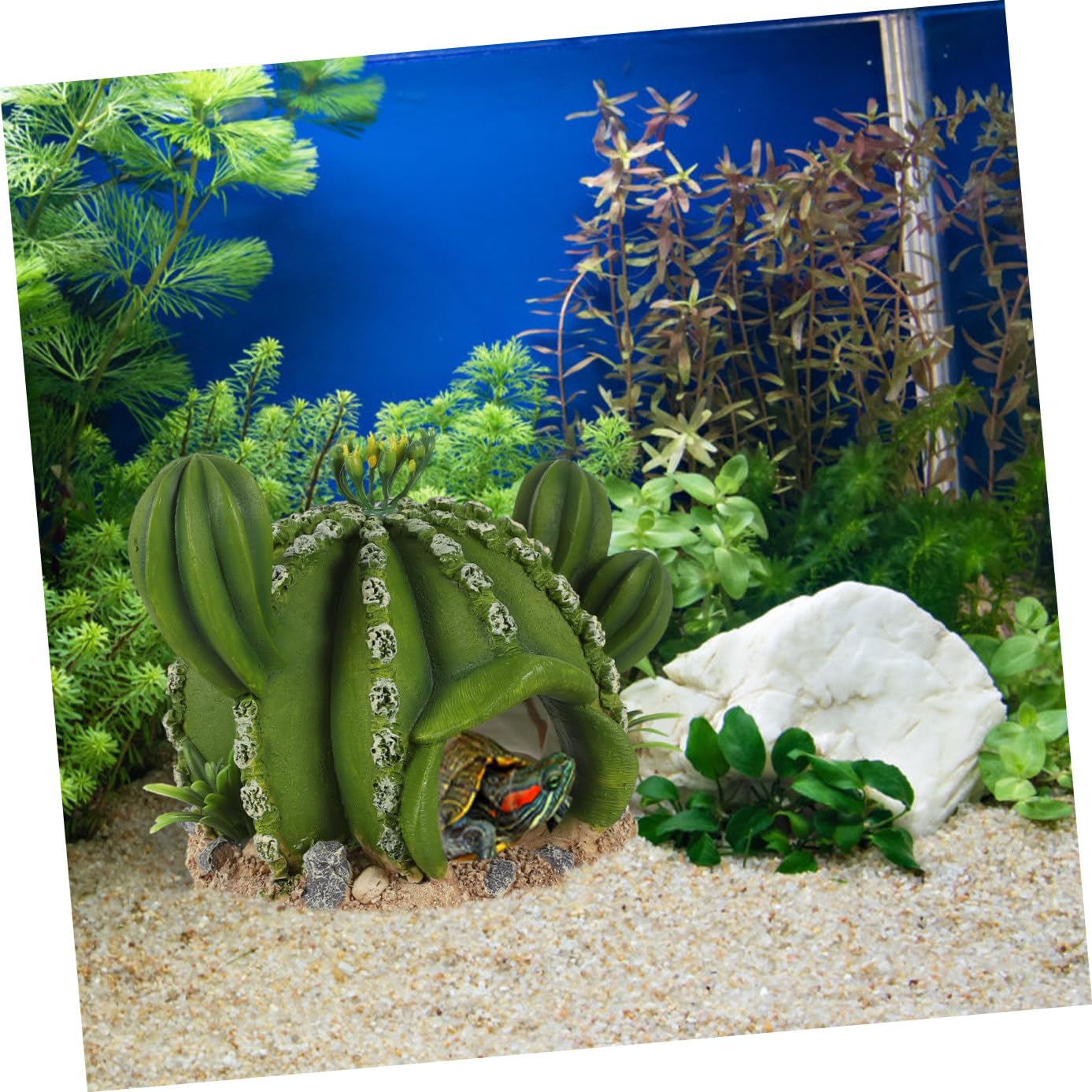 BESPORTBLE 3 Pezzi Cactus da compagnia rampicante nascondiglio dei rettili accessori geco leopardo Accessorio per paesaggio rettili Decorazione per rettili modelli di cactus resina Green