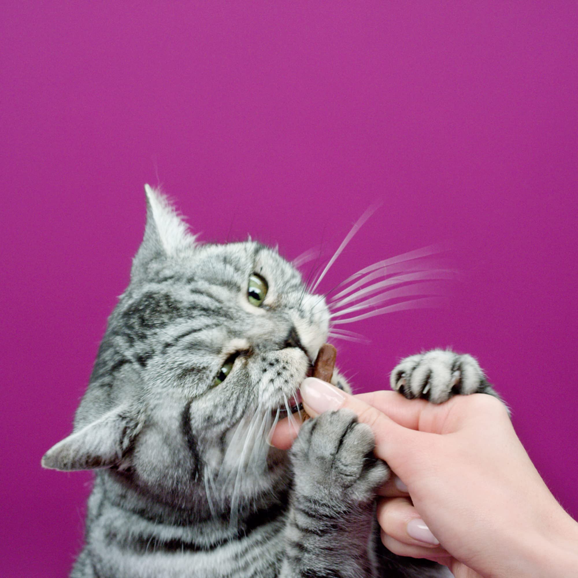 Whiskas Katzensnack, Sticks mit Rindfleisch, insgesamt 84 Stück (28 Packungen zu je 18 g)