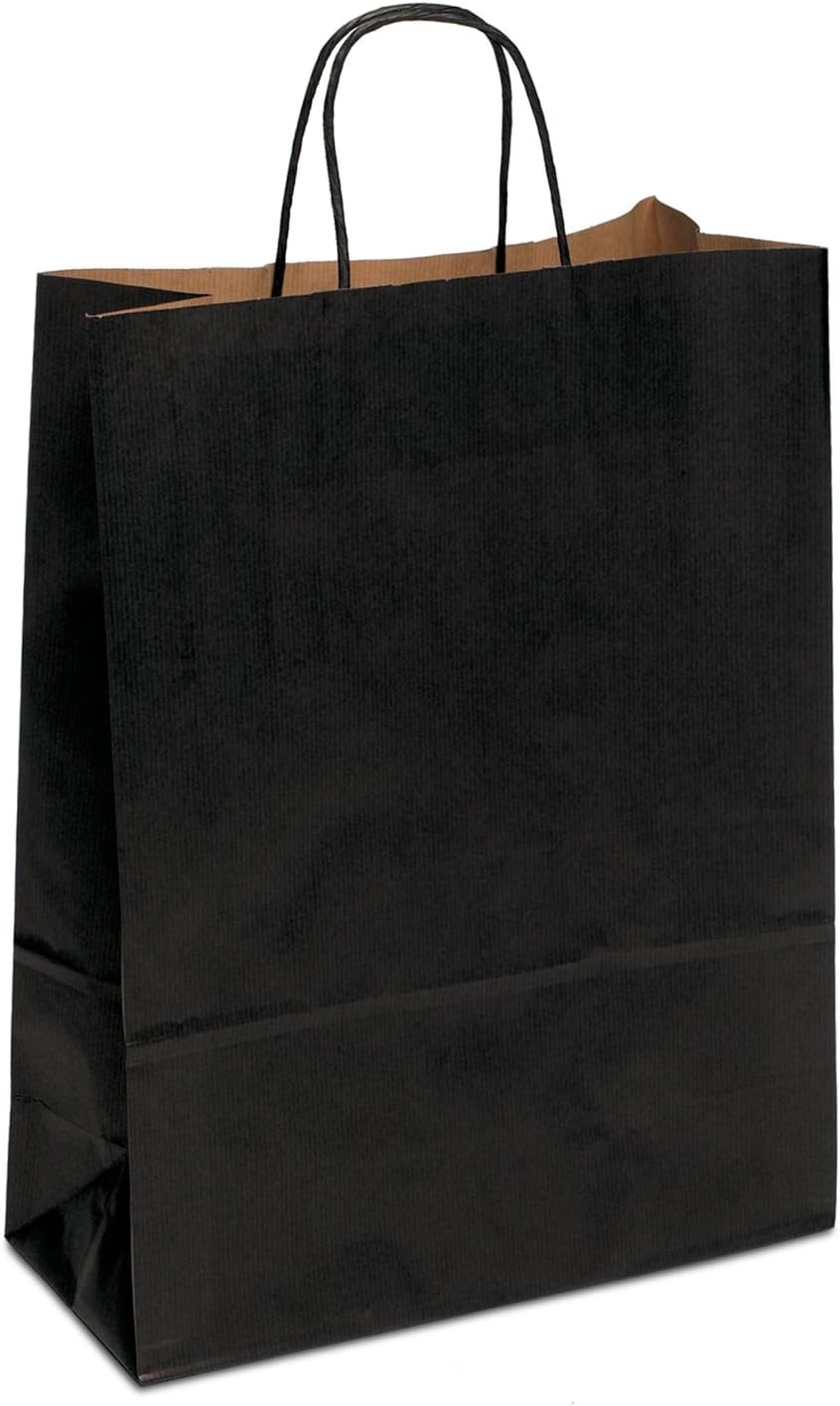 10 Braune Papiertüten Mit Henkel - Kraftpapier-Geschenktüten 22x16x8cm Für Party & Einzelhandel