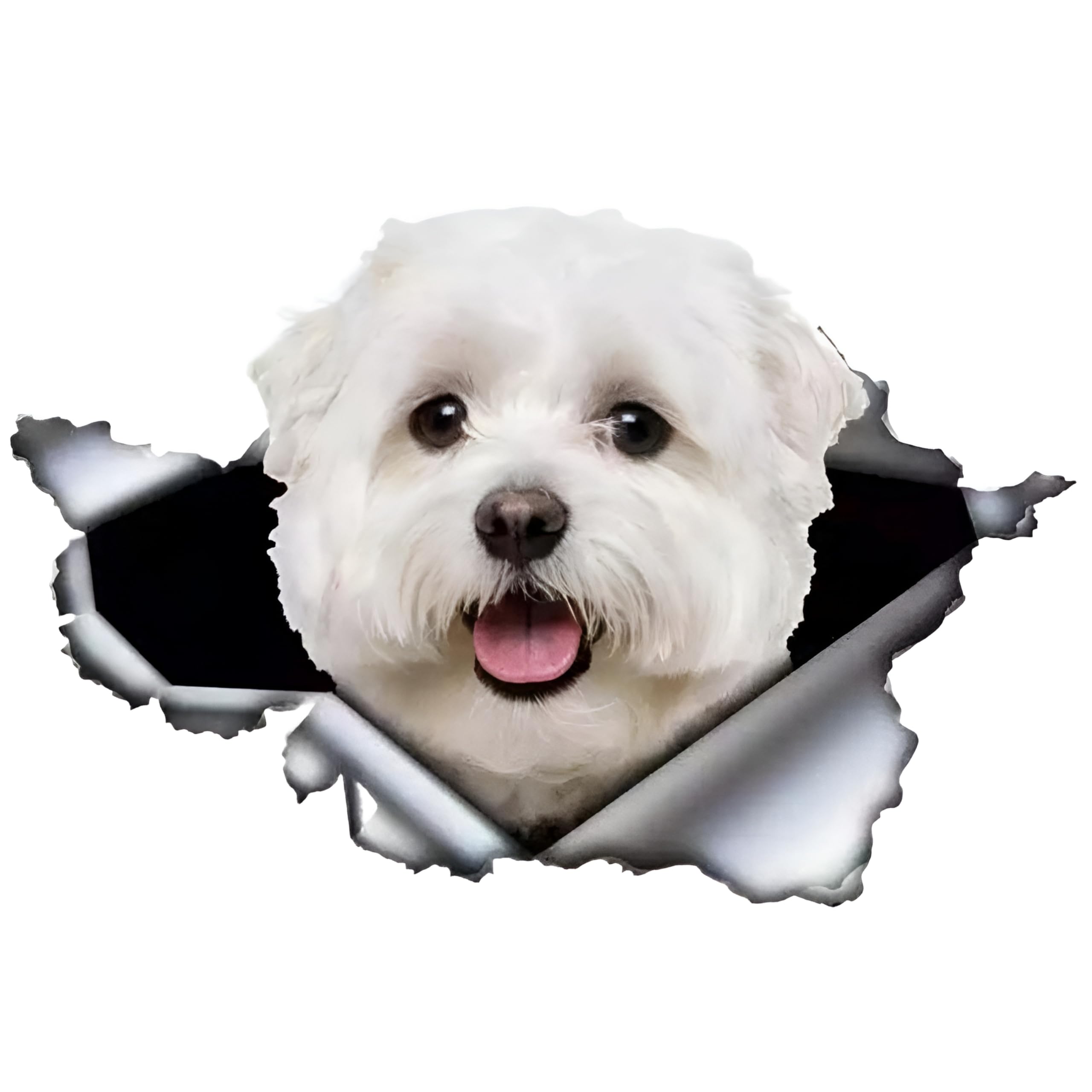 Französische Bulldogge Aufkleber, 3D Zerrissener Effekt, Was