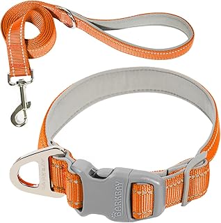 Collar para perro reflectante con correa, collar y correa para perros, de neopreno suave acolchado, paquete de 2 (naranja, XS)