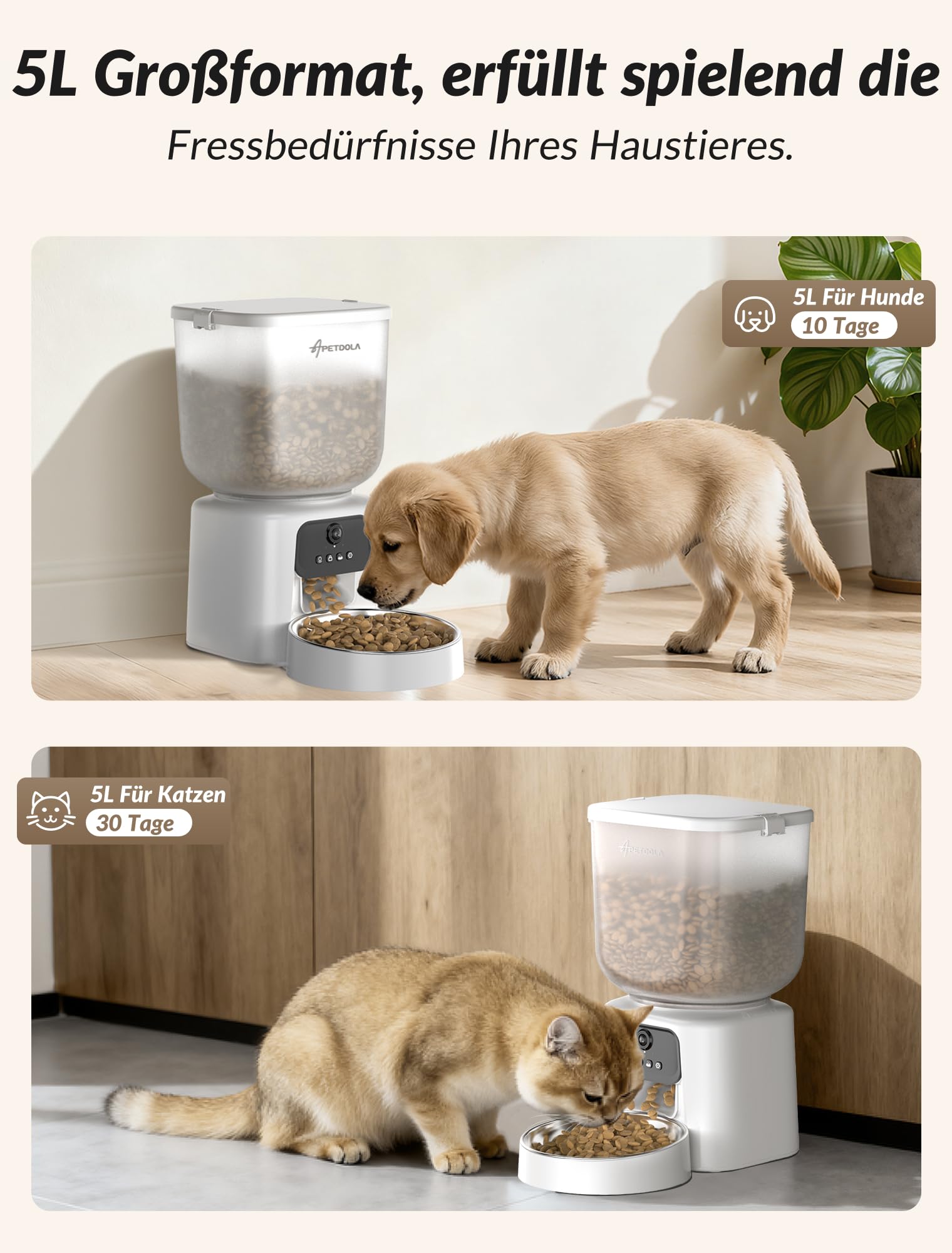 Futterautomat Katze Mit Kamera, KI Futterautomat Katze, 5L Katzen Futterautomaten, 1–6 Mahlzeiten für Katzen und kleine, mittelgroße