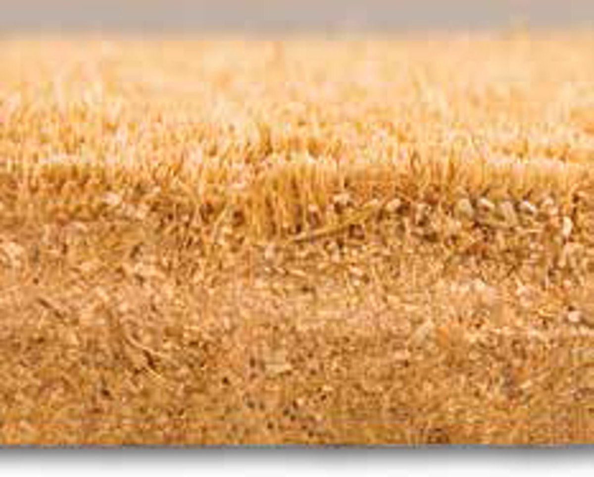 Kokos Fußmatte Kokosvelour Schmutzfang, Quadrate, extra Gross XXL, sehr robust, wetterfeste Türmatte, Fußabtreter, 120 x 45 x 1,5 cm
