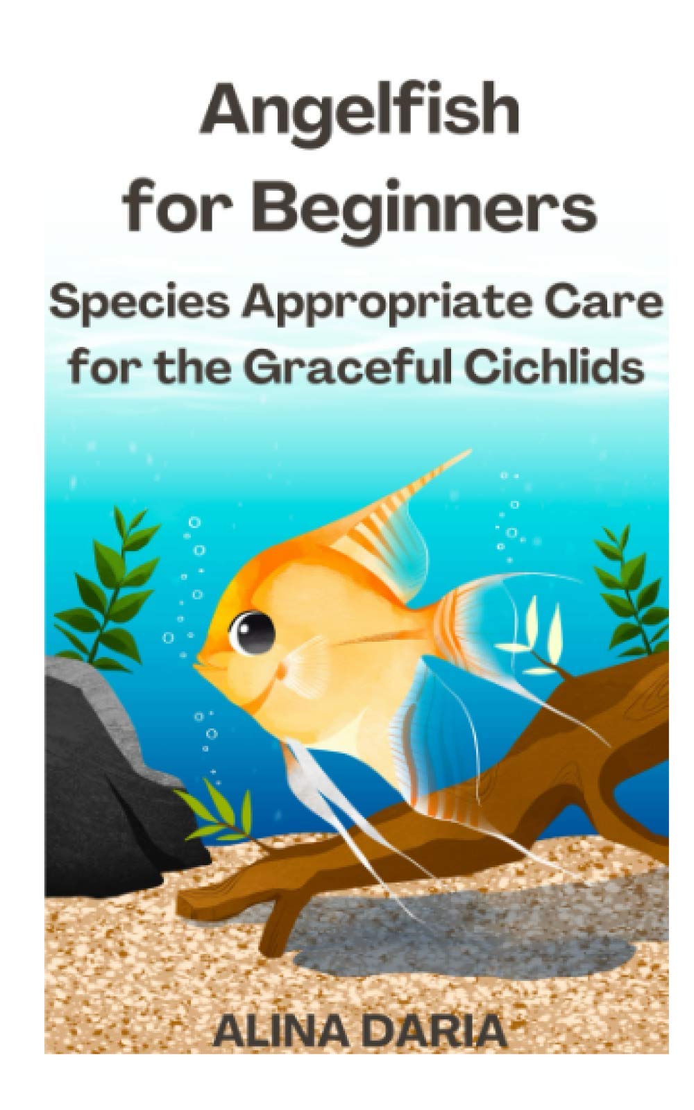 Angelfish for Beginners – Species Appropriate Care for the Graceful Cichlids