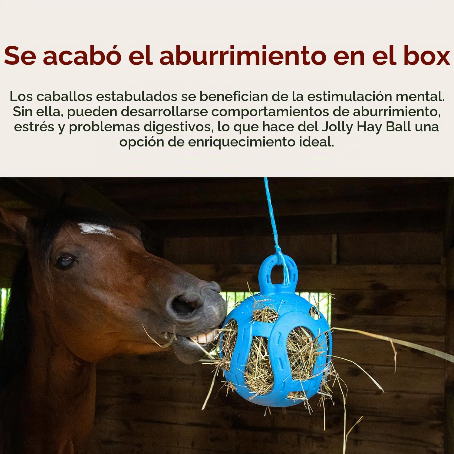 Horsemen's Pride Jolly Hay Ball Azul