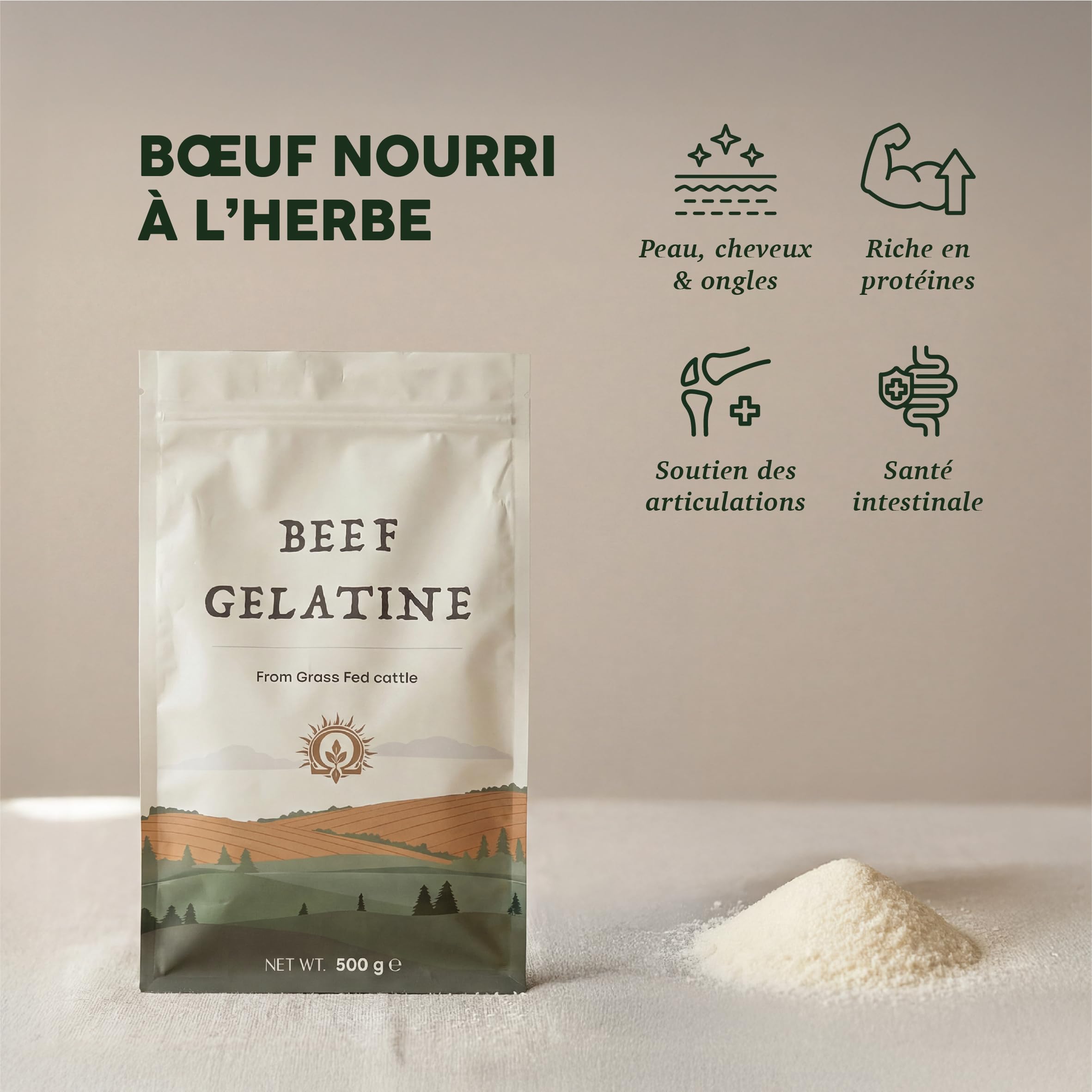 Gélatine Bovine 500 g - Poudre De Collagène Naturelle Pour La Santé Des Os Et Du Système Digestif - Gélatine De Bœuf En Poudre - Épaississant Alimentaire Pour La Cuisine, Les Bouillons Et Les Ragoûts