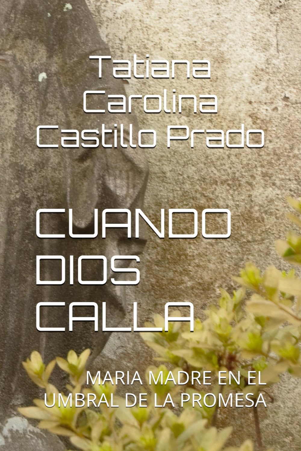 CUANDO DIOS CALLA: MARIA MADRE EN EL UMBRAL DE LA PROMESA