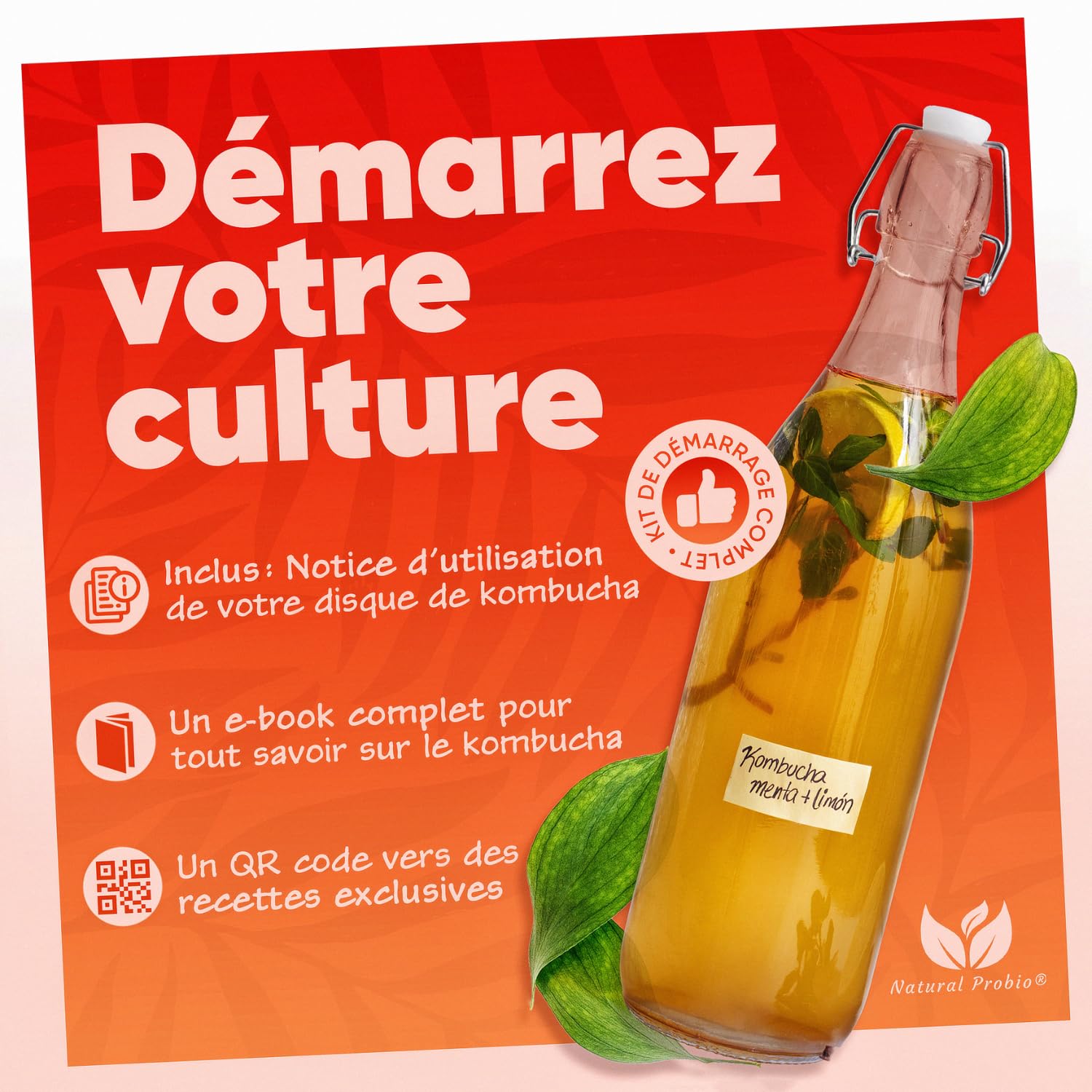 Natural Probio® Original Kombucha Scoby - Kit de démarrage de Culture - Mere de Kombucha de souche Authentique + Notice complète, Recette et Conseils + Accès Ebook offert