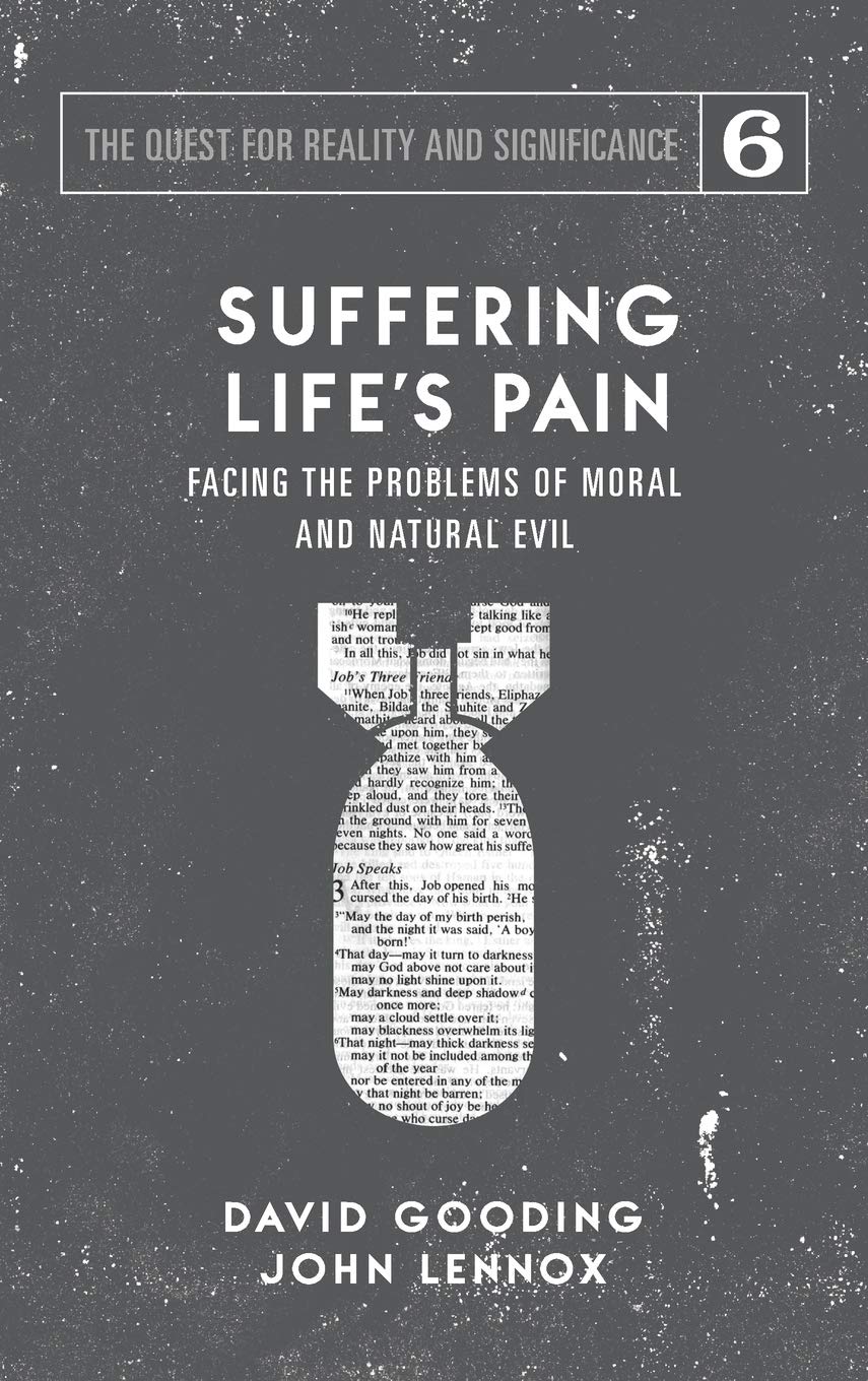 Suffering Life's Pain: Facing the Problems of Moral and Natural Evil: 6 (Quest for Reality and Significance)