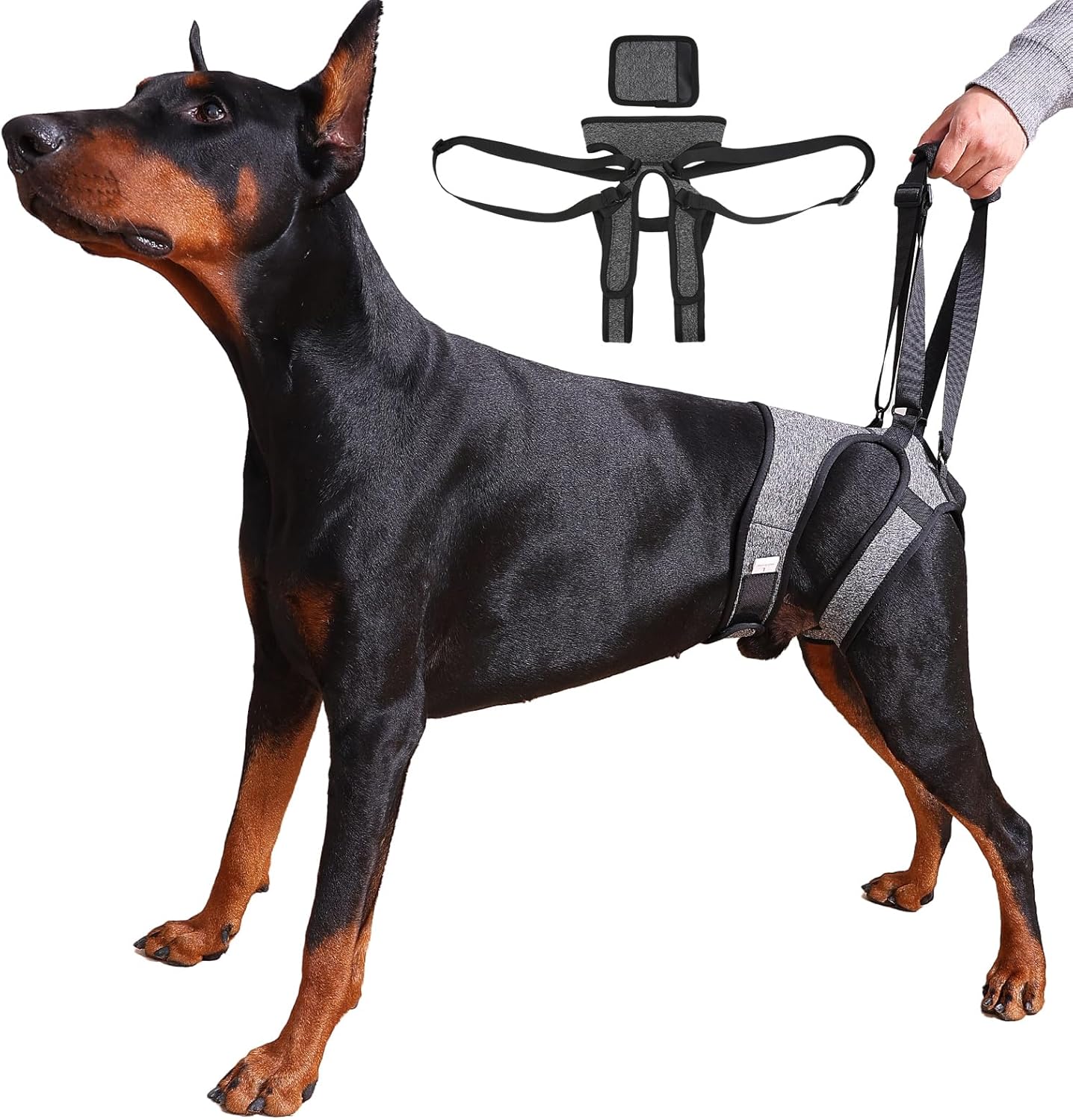 Dog Lift Harness – Adjustable Hind Leg Support Sling for Medium & Large Dogs, Soft Padded Mobility Aid for Senior, Injured & Arthritic Dogs