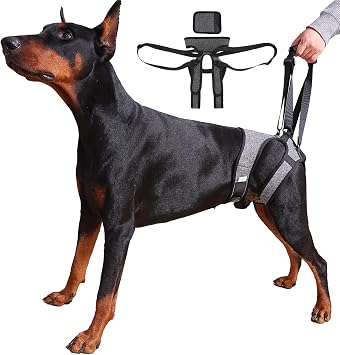 Dog Lift Harness Adjustable Hind Leg Support Sling for Medium & Large Dogs, Soft Padded Mobility Aid for Senior, Injured & Arthritic Dogs