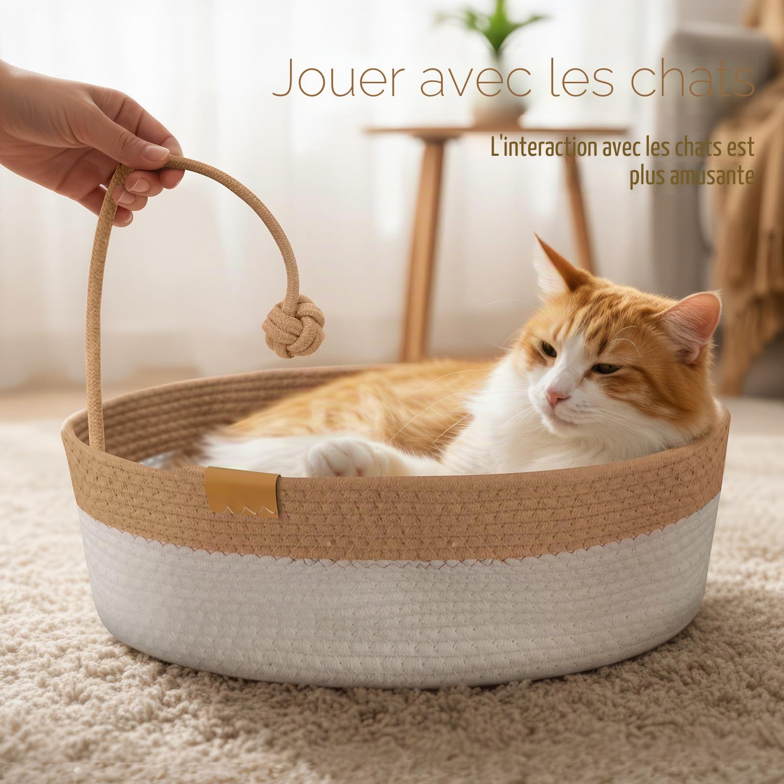 Mittimiya Lit pour Chat Tissé en Cordes de Coton avec Coussin, 55 X 40 X 17 cm Anti-Abrasif Lavable Panier pour Chat pour Dormir - Convient pour Toutes Les Saisons