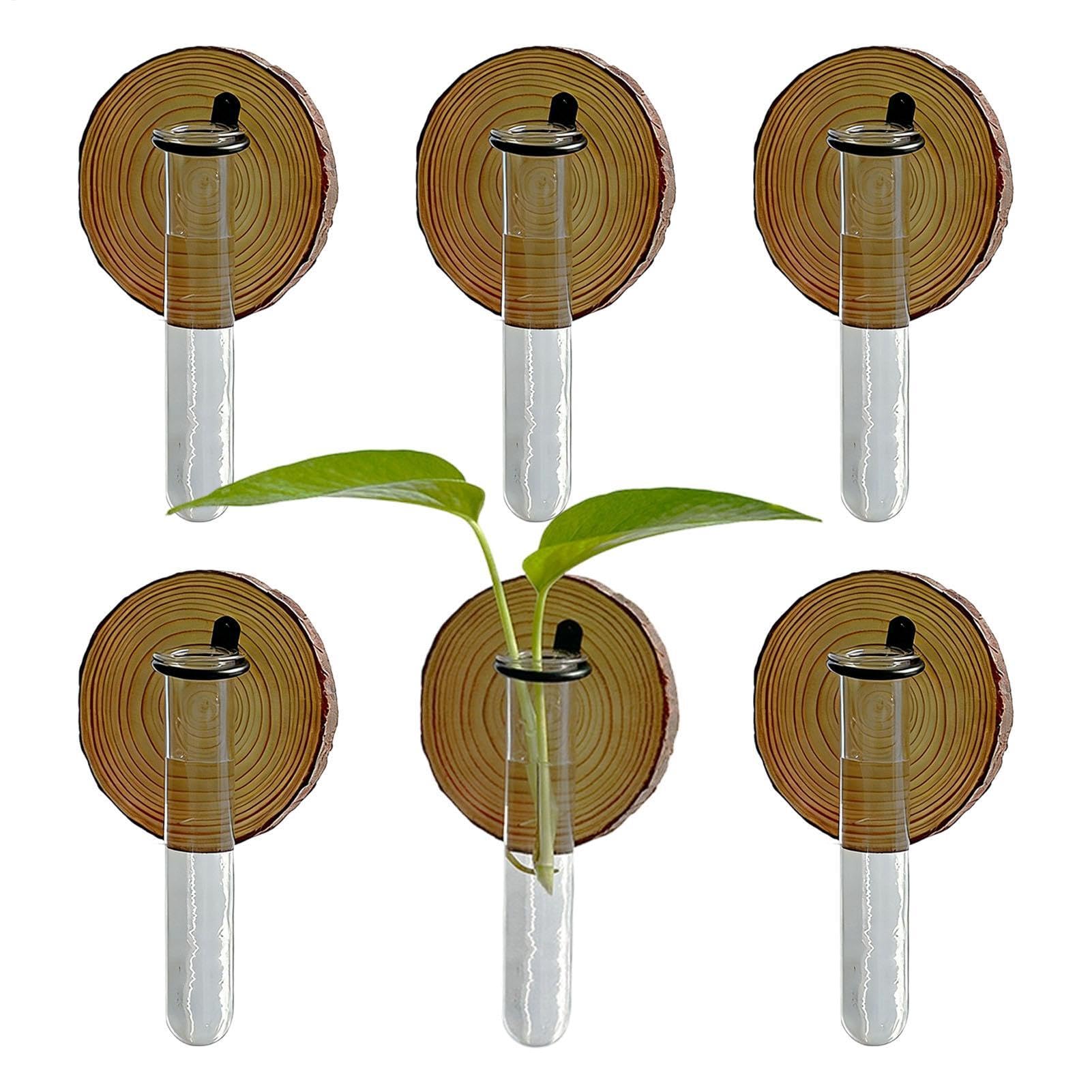 Tubes à essai pour plantes pour réussir vos boutures facilement