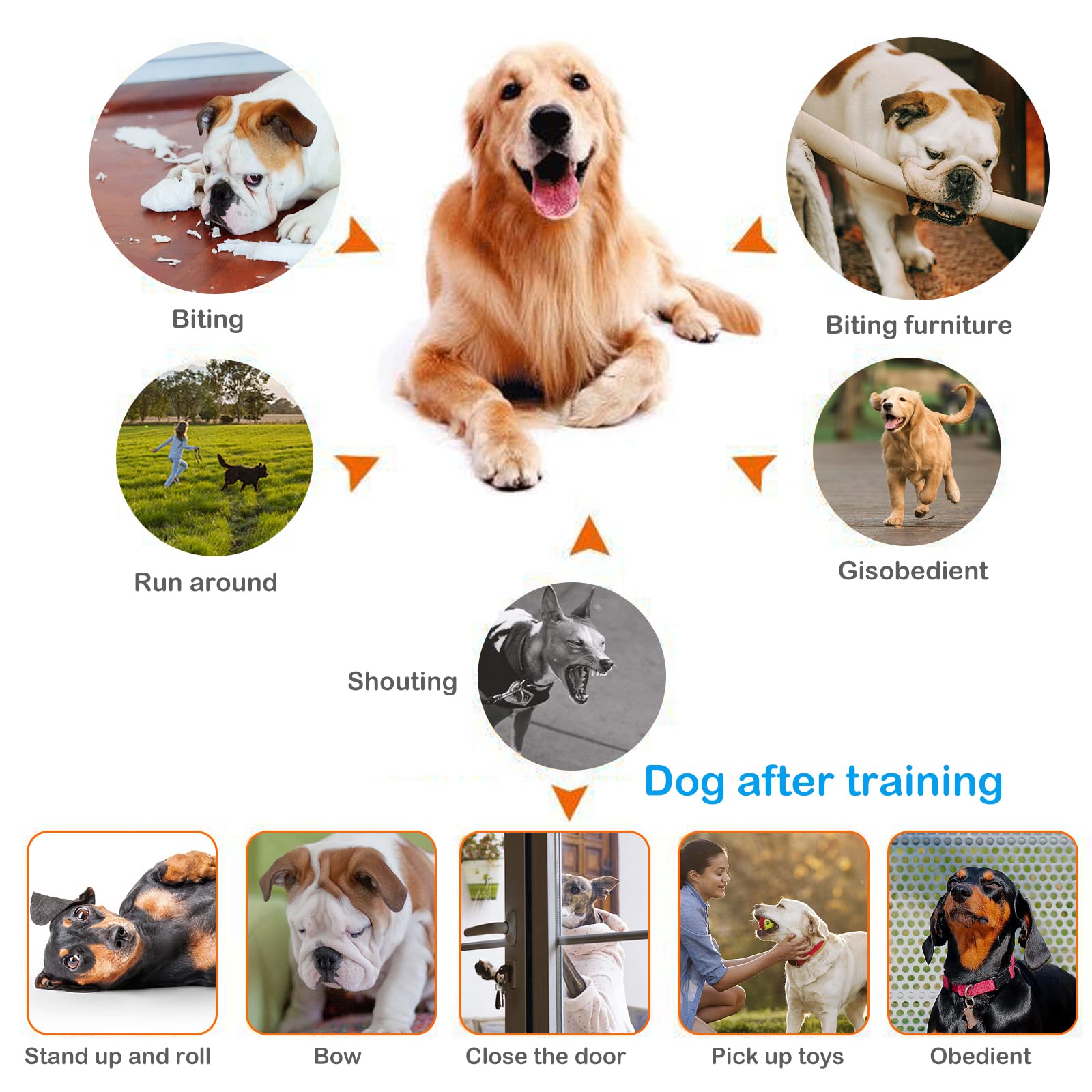 Hunde Clicker 5 Stück Haustier Trainings Clicker mit Handschlaufe, Finger Clicker für Clickertraining, Klicker mit Großem Knopf für Hund, Katze, Pferd Erziehung und Training (5 Farben)