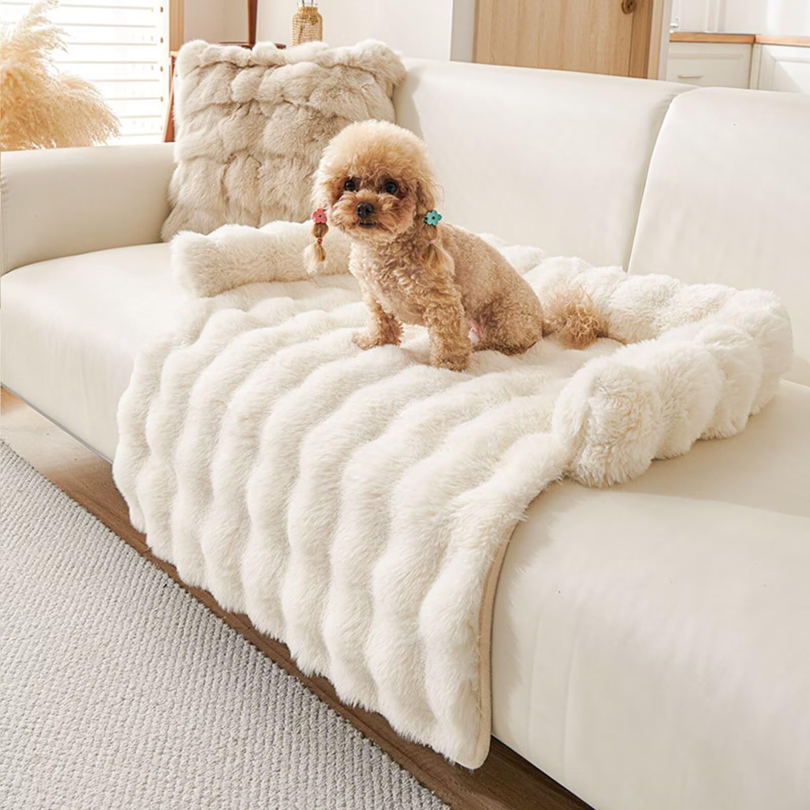 kuchenuten Hundebett Flauschig, Katzenbett, Hundedecke Sofa mit Rand, Waschbar Haustierbett, Hundebetten rutschfest, Katzensofa Katzennest für Katze Kleine Hunde, 75x75cm, Beige