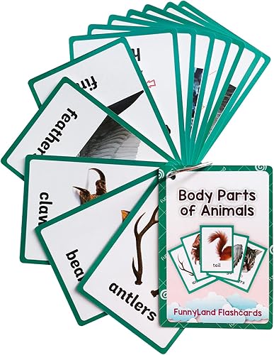 Miniatura 11 de Lilias Tarjetas flash – Tarjeta de bolsillo con palabras en inglés para niños pequeños, juguetes de aprendizaje, suministros para jardín