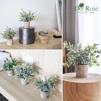 Der Rose 3er Set Künstliche Grünpflanzen Deko im Topf Mini Kunstpflanzen Kompakte Deko für Berufstätige und kleine Wohnungen passend für Schreibtisch Regal Bad und Schlafzimmer