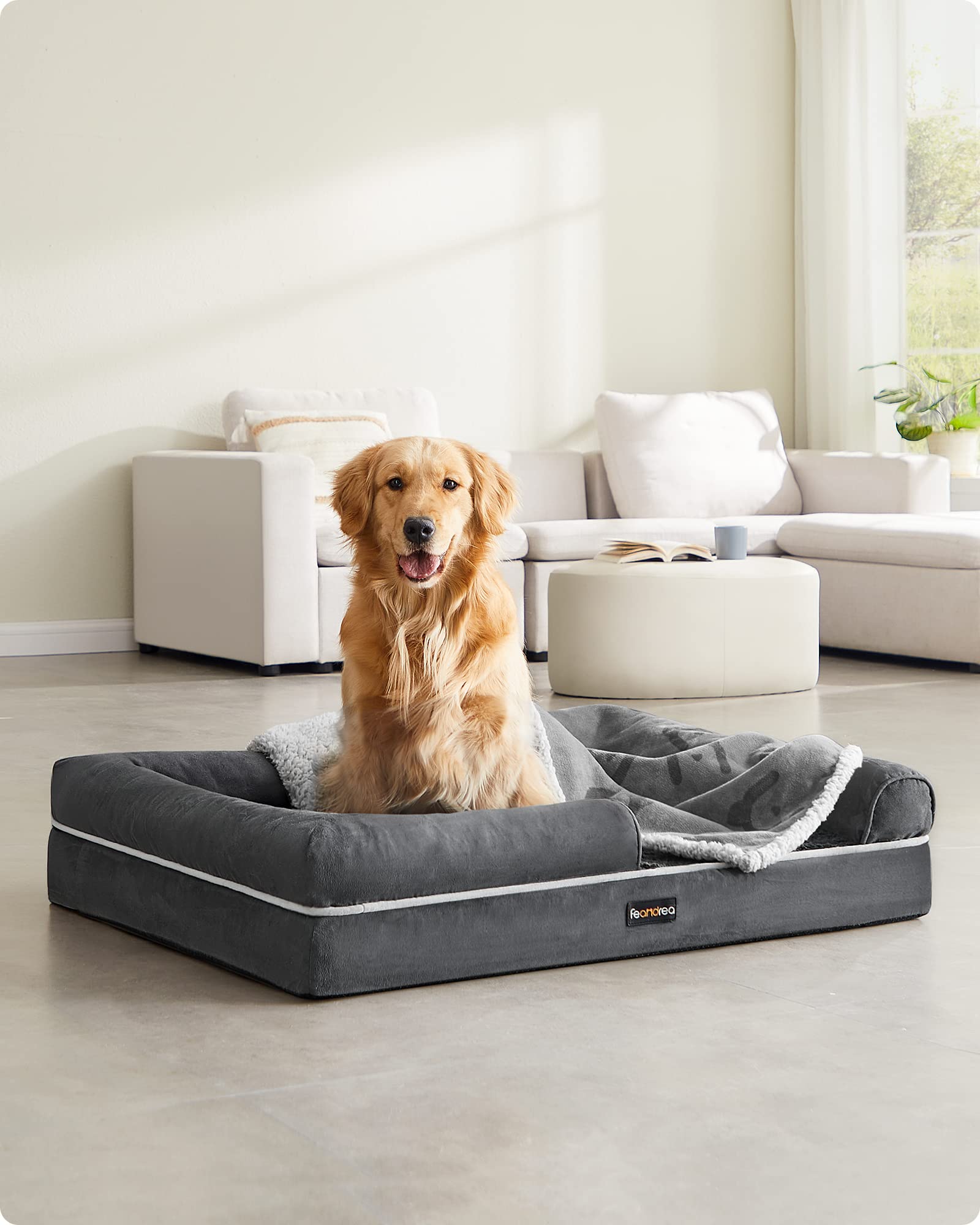 Feandrea Cuccia per Cani Ortopedica, Letto Divano per Animali, Imbottitura Morbida, Bordi Rialzati, Copertura Sfoderabile e Lavabile, 106 x 80 x 20 cm, Fondo Antiscivolo, Grigio Scuro PGW077G01