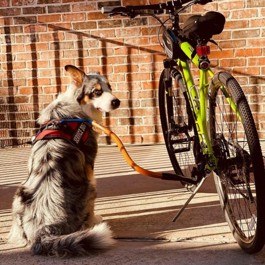 Bike Tow Leash Right Side Single Dog Package – fits Most Bicycles, E-Bikes, and Recumbents – Safe for Active Breeds and Training Dogs (Orange)