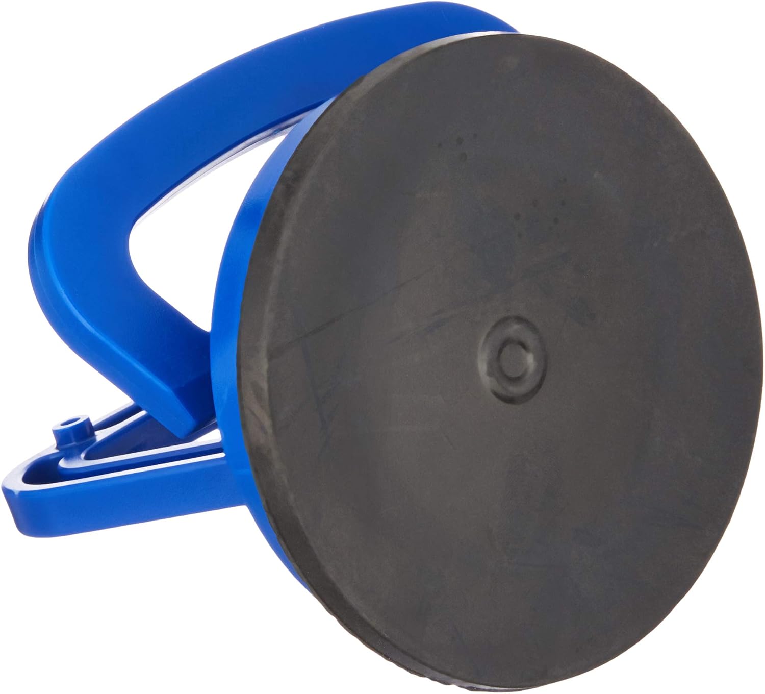 비트 렉스 (93) 사진