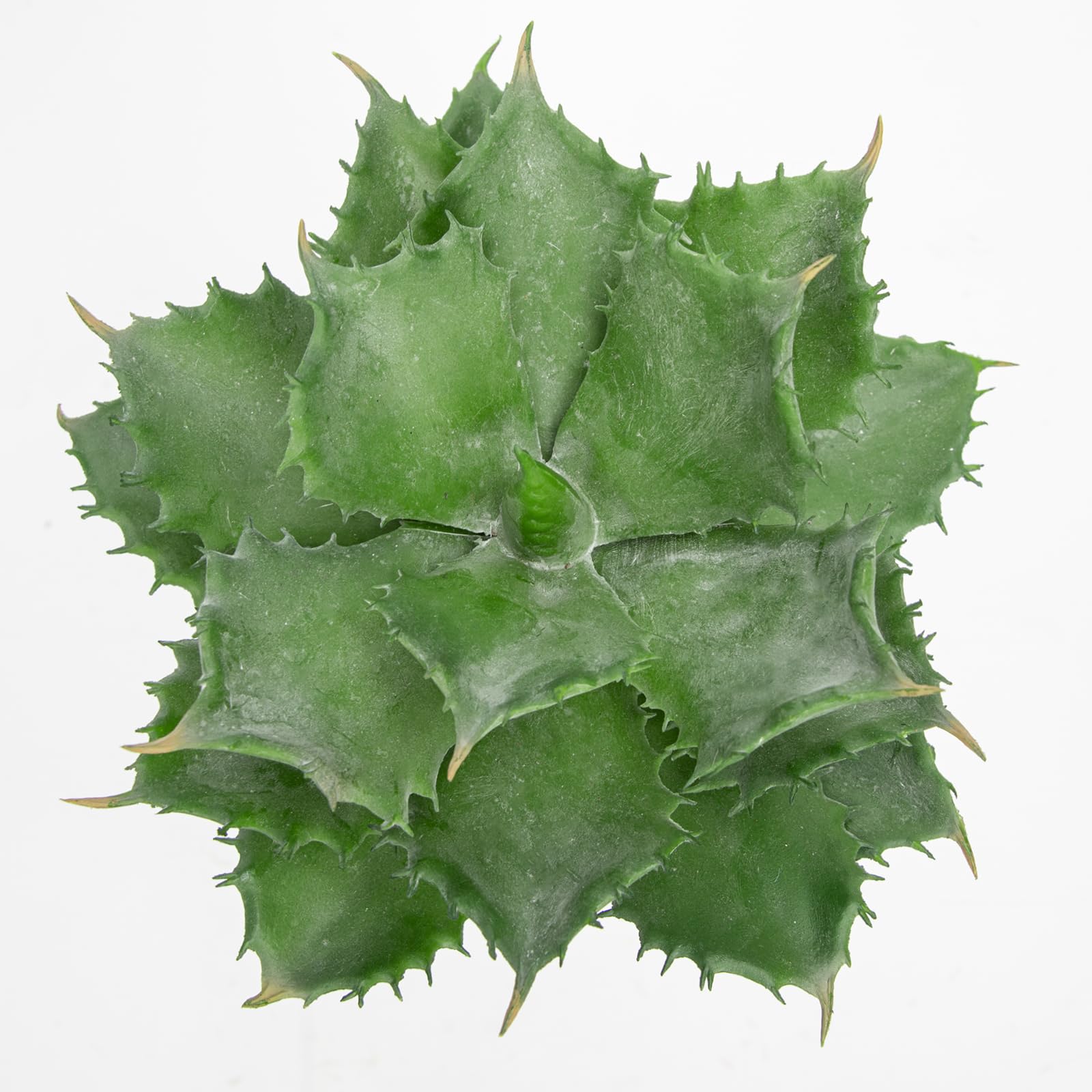 Hollyone Fake Succulents in Black Bubble Pot, 8.6'' Frosted Artificial Agave Potatorum - Image 3