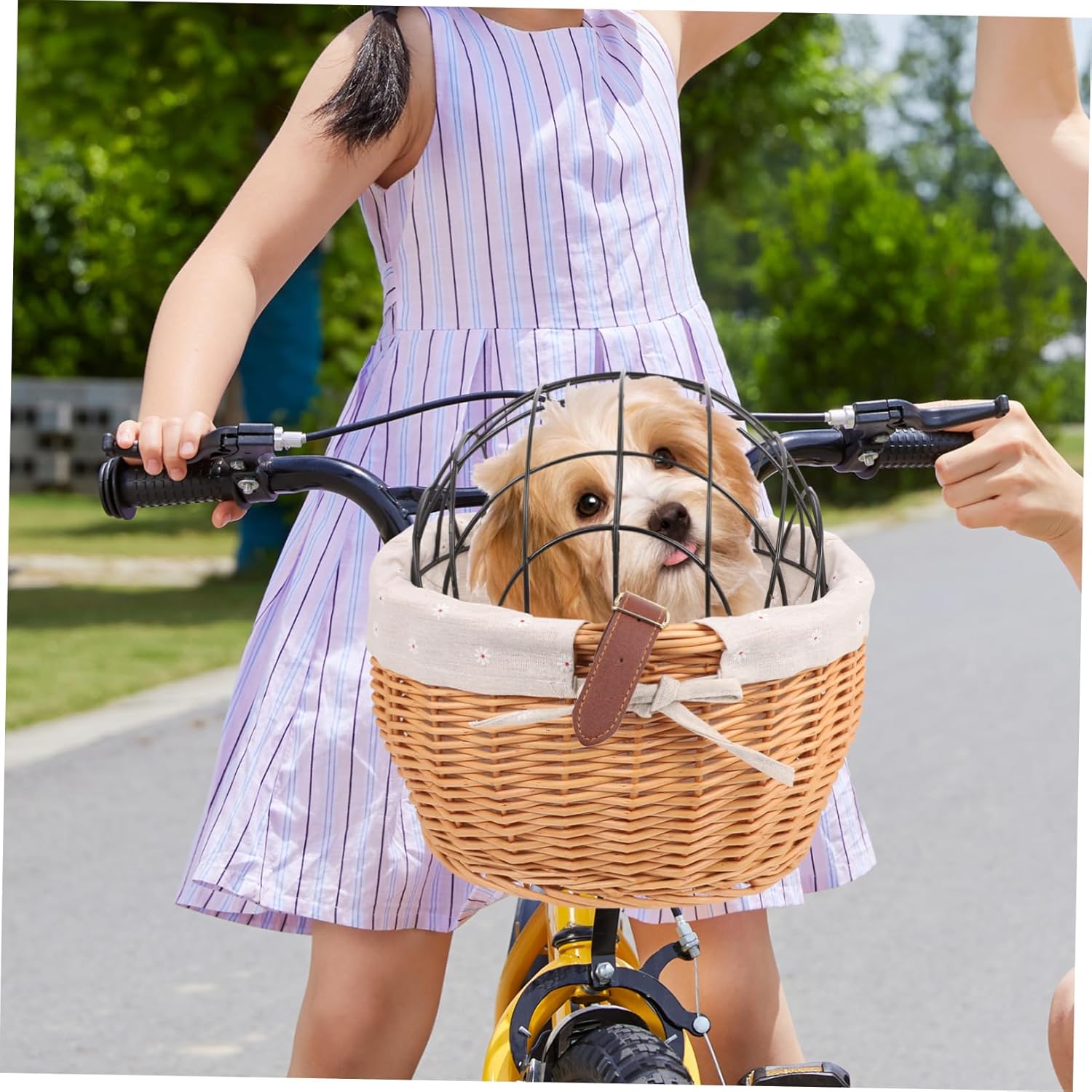 SUPVOX PET Bike Basket Wire Frame Removable Front Carrier Bag for Dogs and Cats Sturdy Mesh Design Easy Installation for Cycling Adventures