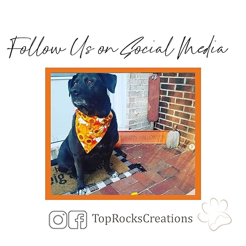 Miniatura 6 de Santa Paws is Coming to Town Over the Collar Dog Bandana That Slips onto Their Existing Collar (Large)