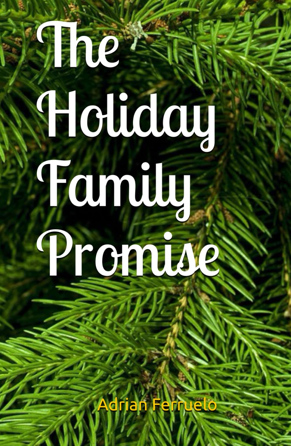 The Holiday Family Promise