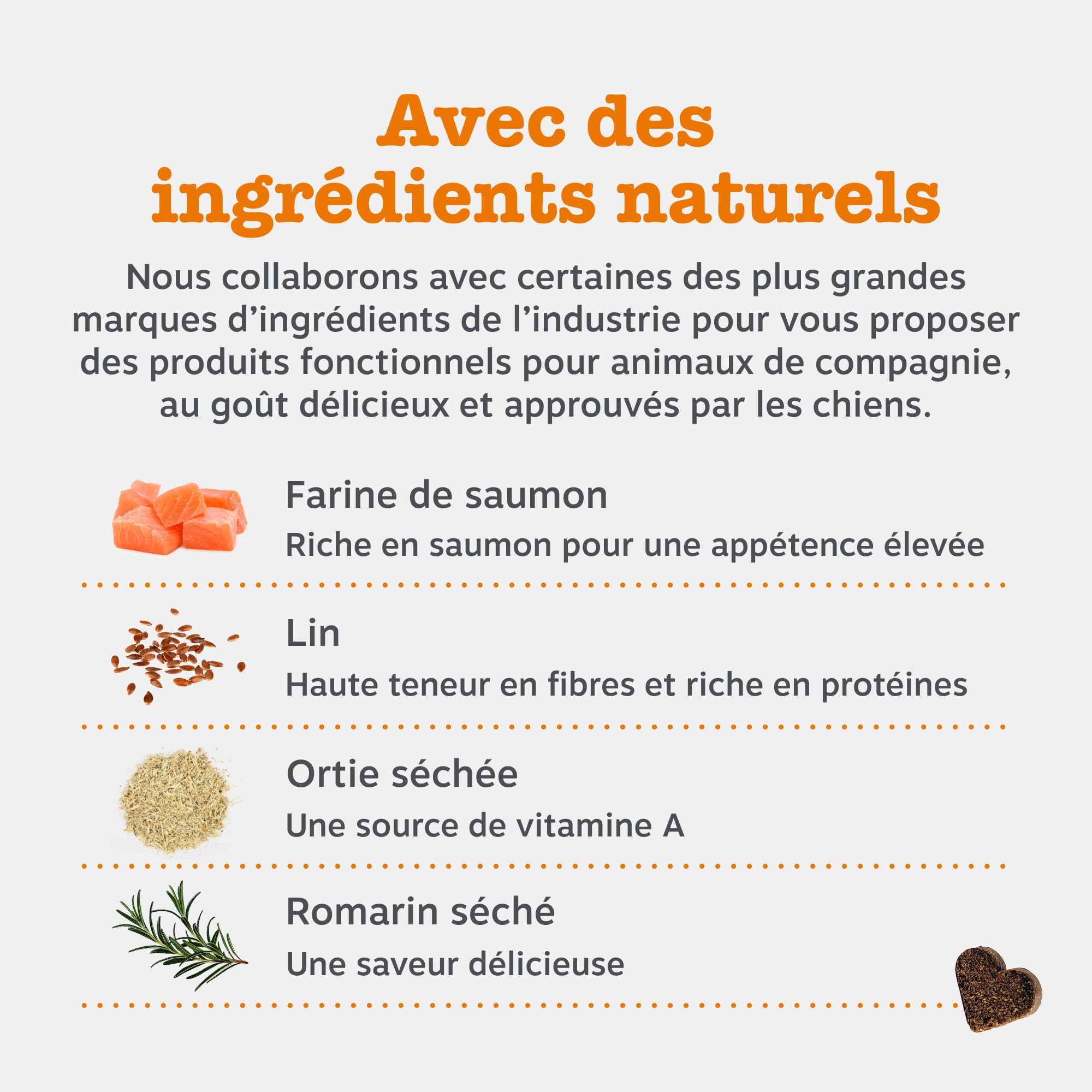 Zesty Paws Bouchées Aller-Immune Chien | Soutien Immunitaire, Soin de la Peau | Peau Sèche et Démangeaisons | Huile de Saumon, Postbiotiques, Probiotiques| Usage Quotidien | 90 Bouchées