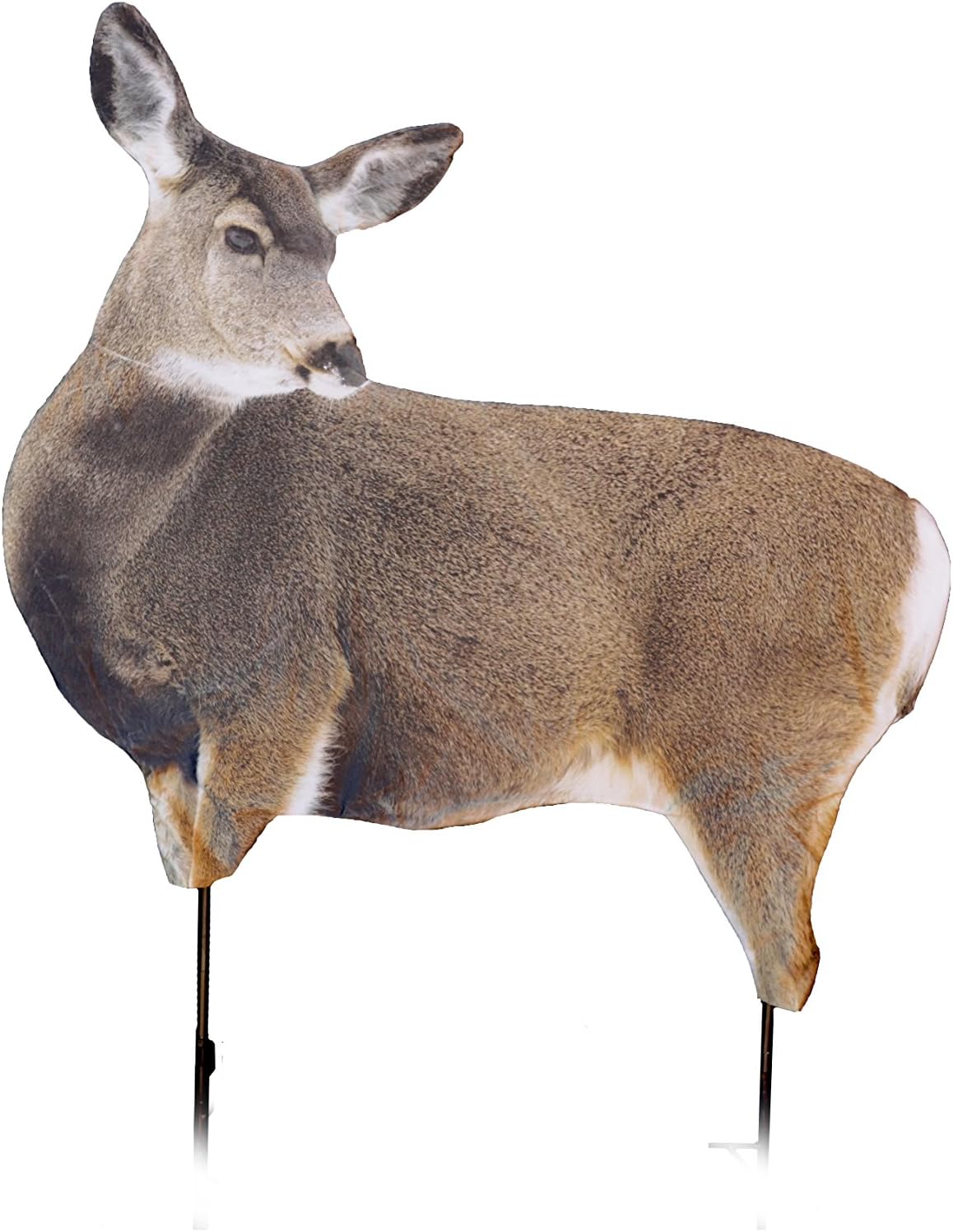 Miss Muley by Montana Decoy