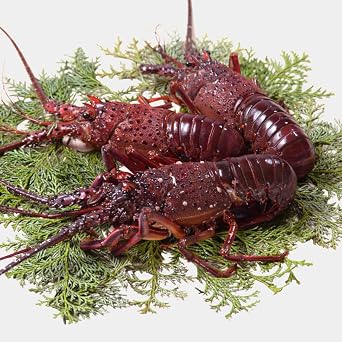 Ise Shrimp 3 Pieces Domestic Production, J ban RegionLive-Shipped, Instantly Frozen, Extra Large Size, Freshness Intact, 1kg 200400g, Premium Seafood, Gift Use, Celebration