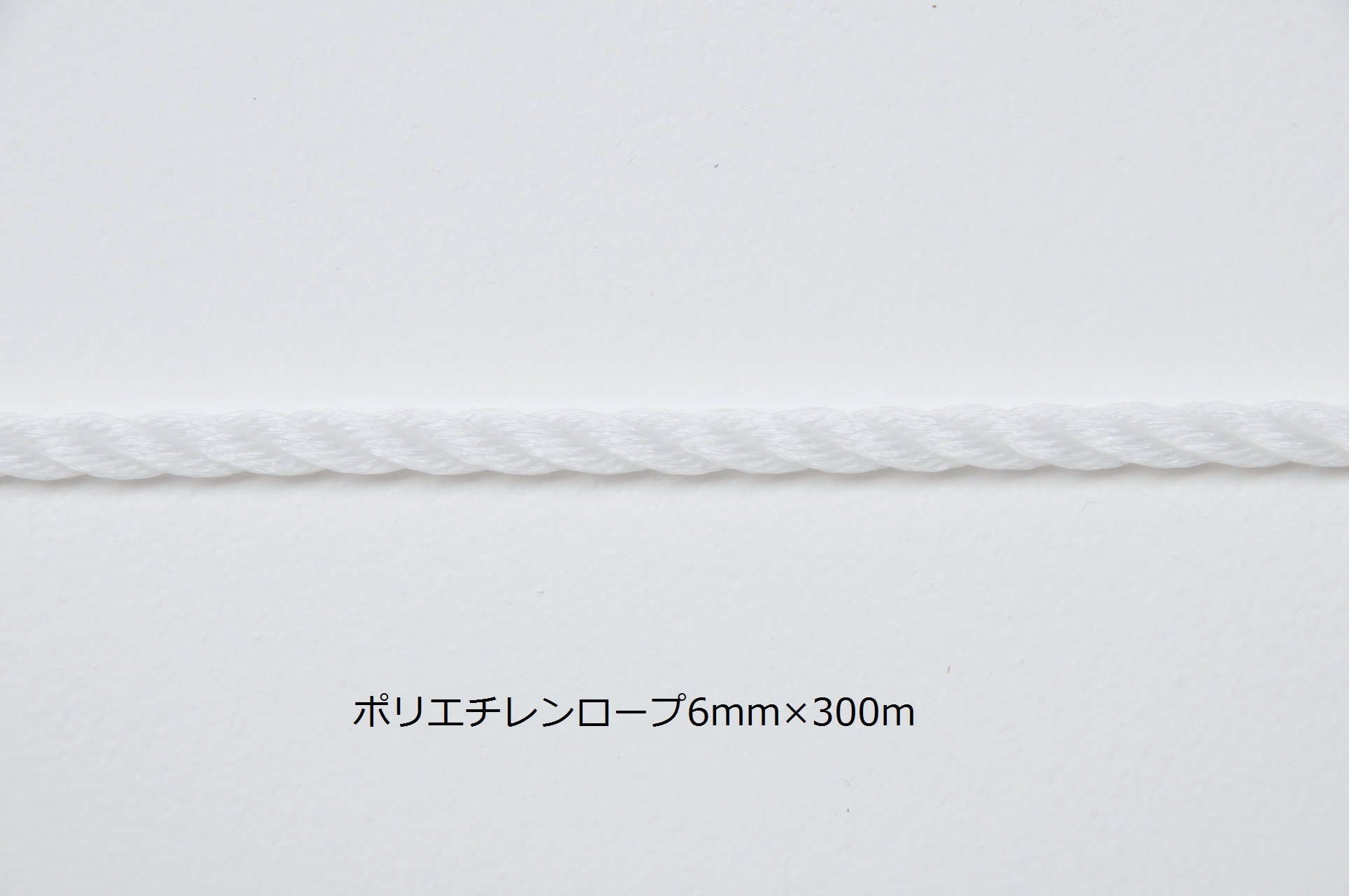 Amazon | TOEI LIGHT(トーエイライト) グランドロープ6×300(5