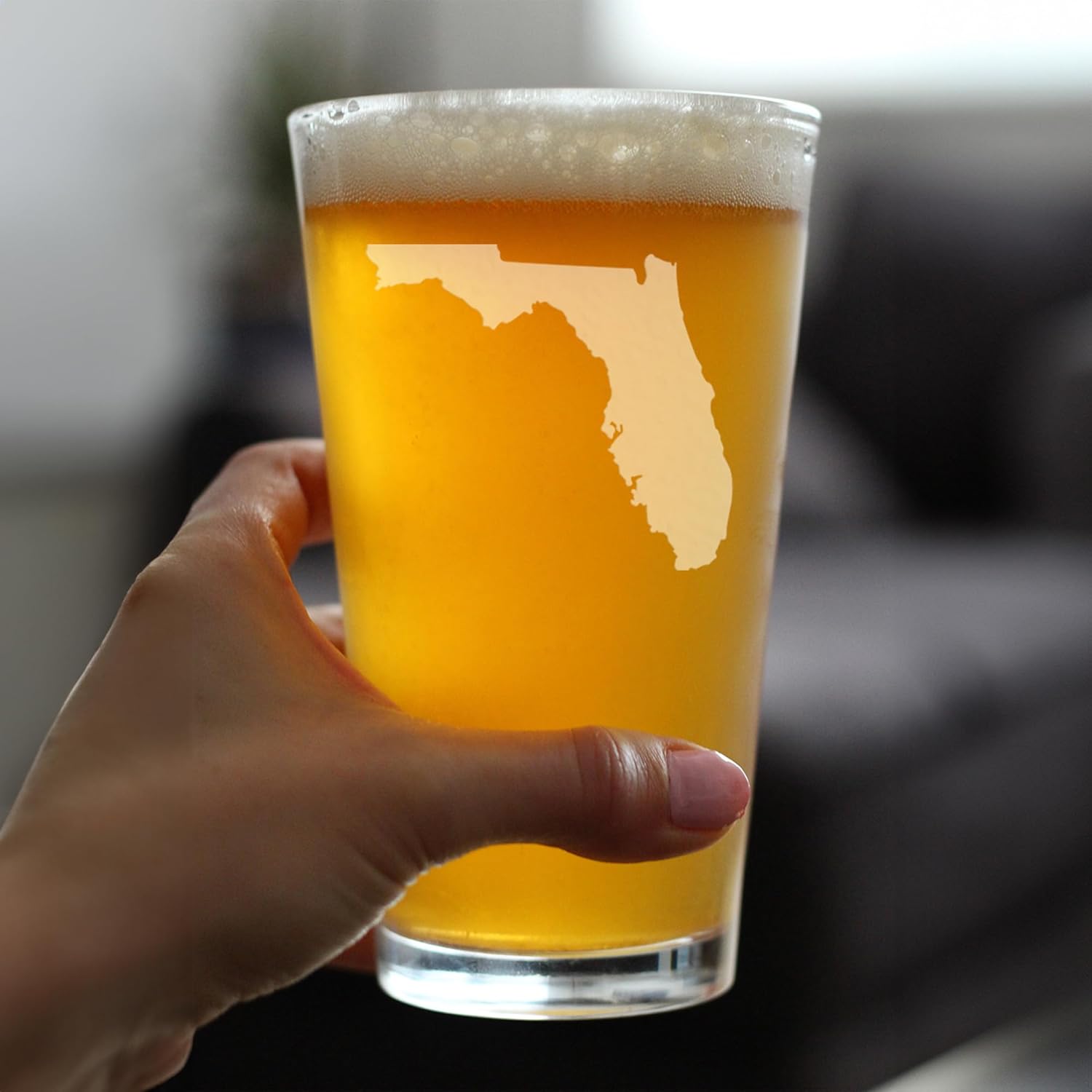 Bevvee Florida State Outline Pint Glass for Beer - State Themed Drinking Decor and Gifts for Floridian Women & Men - Set of 2-16 Oz Glasses