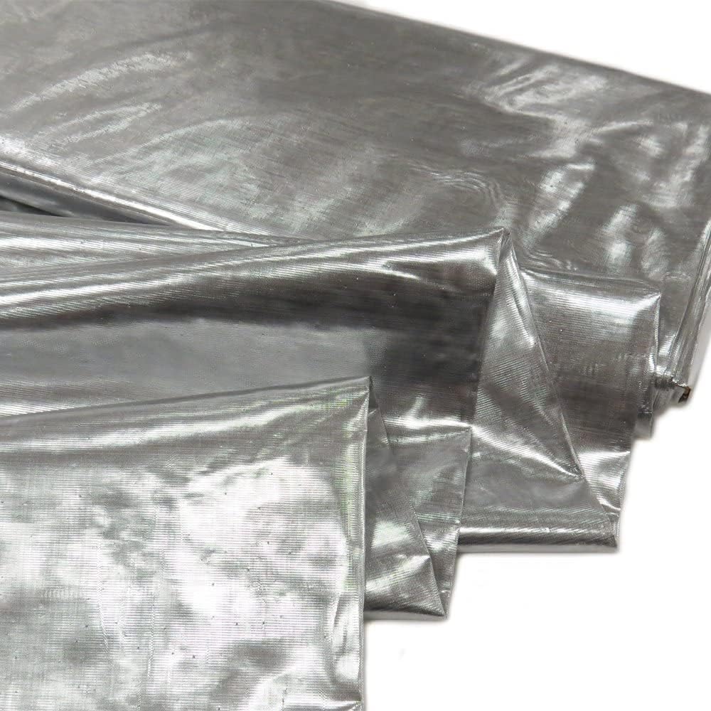 Valentina Textile inc Nylon Metallic Tissue Lame Fabric - 60 Inches Wide, Over 100 Yards in Stock -Multiple Colors Available (5 Yard, Silver)