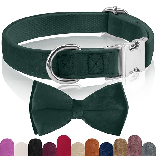 KTWSUEF Collar Perro Terciopelo, con Pajarita Perro Desmontable