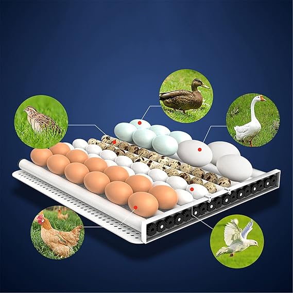 6-176 Egg Incubator Fertilized Duck Egg Hatching Chicken Egg Incubator Automatic Tutomatic Egg Turning Brooder (24pcs Single Supply) (9pcs Double supply)