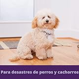 Ver la foto 4