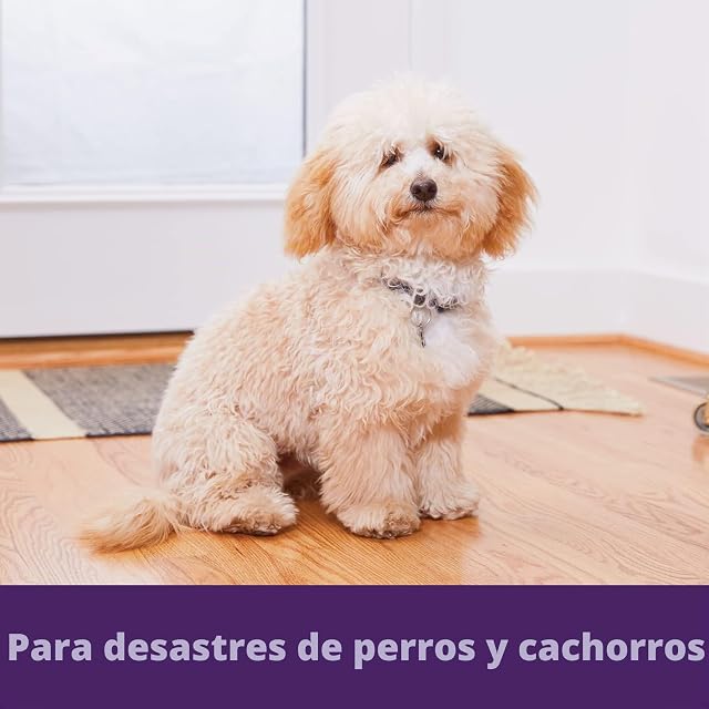 Foto 4 de 4 de Urine Off para Perros, Spray para Superficies Duras, 500ml