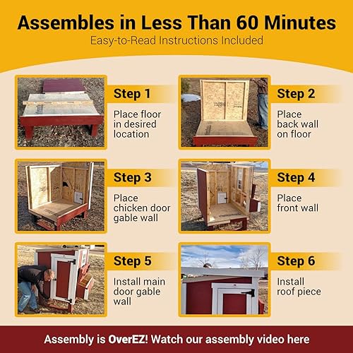 Miniatura 5 de Gallinero mediano de granja para hasta 10 pollos con caja de anidación  Pájaro grande, aves de corral y gallina hecho de madera
