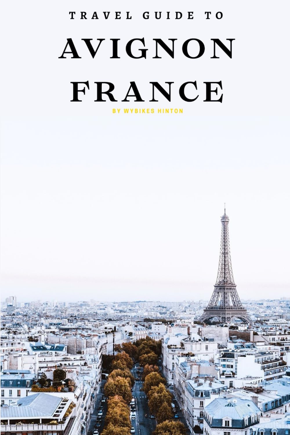 Travel Guide To Avignon, France: Uncover Hidden Gems: Your Passport to Adventure! (Europe Travel Guides)