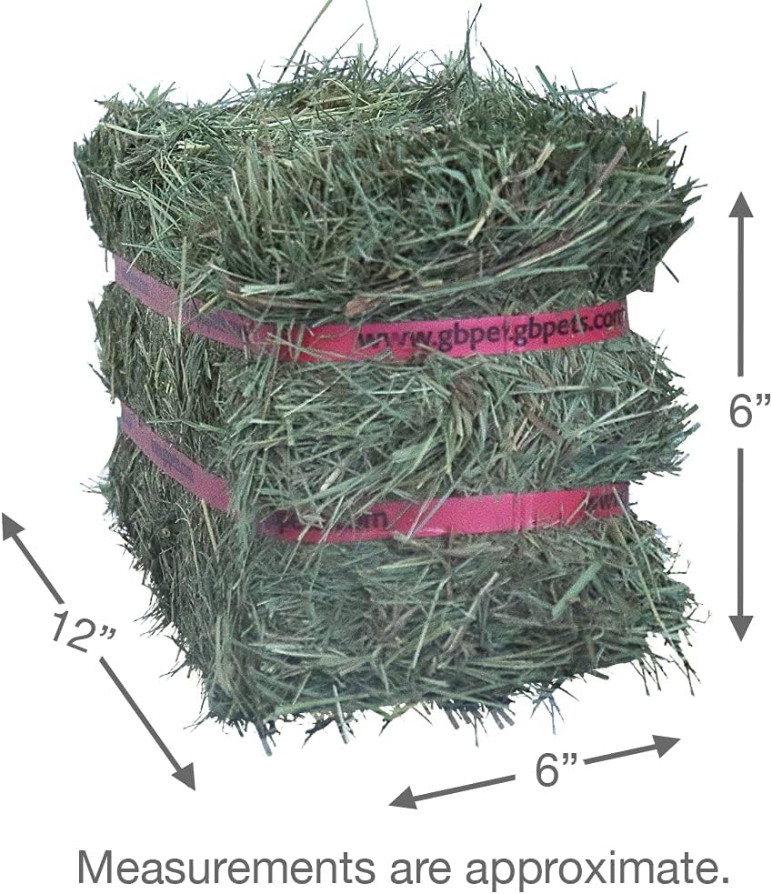 Grandpa's Best Organic Prairie Hay Bale, 10 Lbs (Packaging may vary)