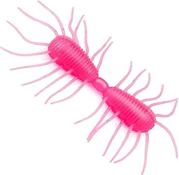 ワーム閲覧用 71OCt2VUzKL._AC_UF350,