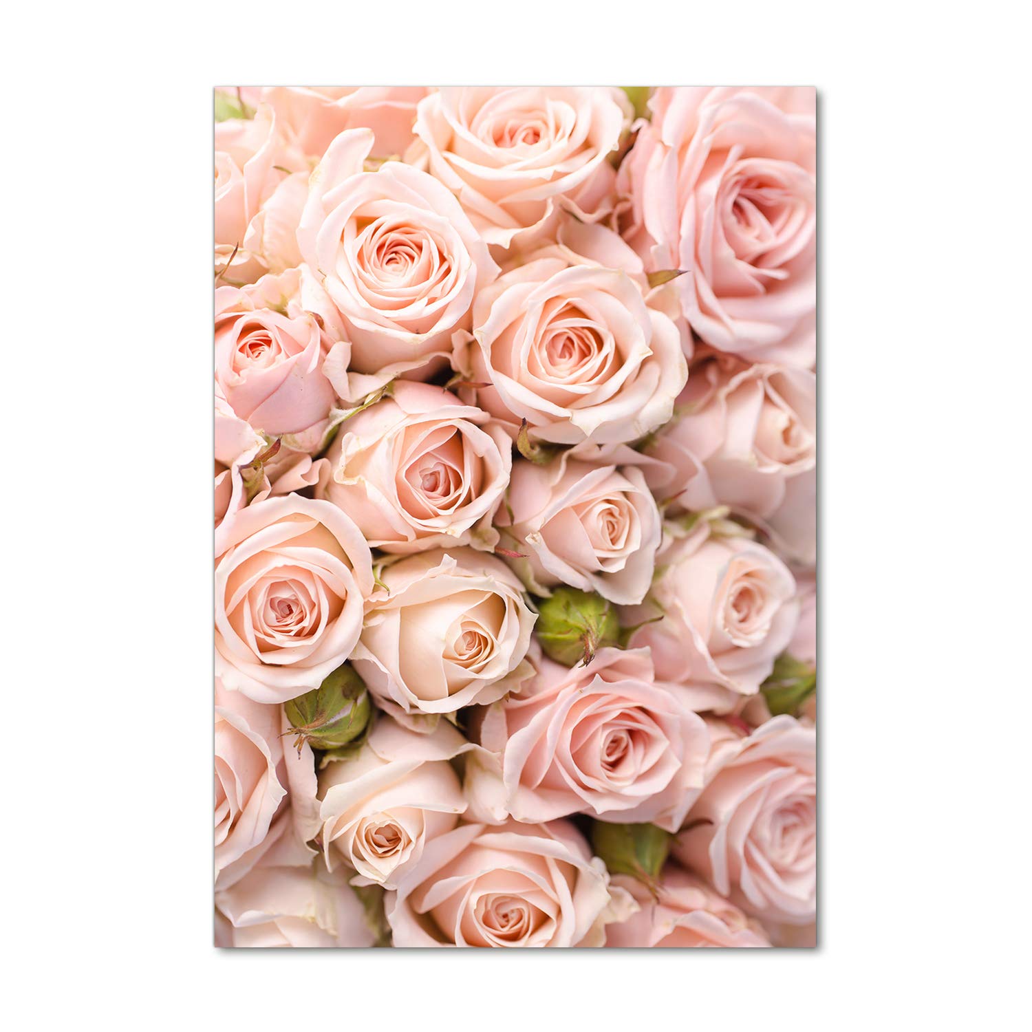 Tableau sur verre panoramique rose pour nettoyer facilement les projections de cuisine