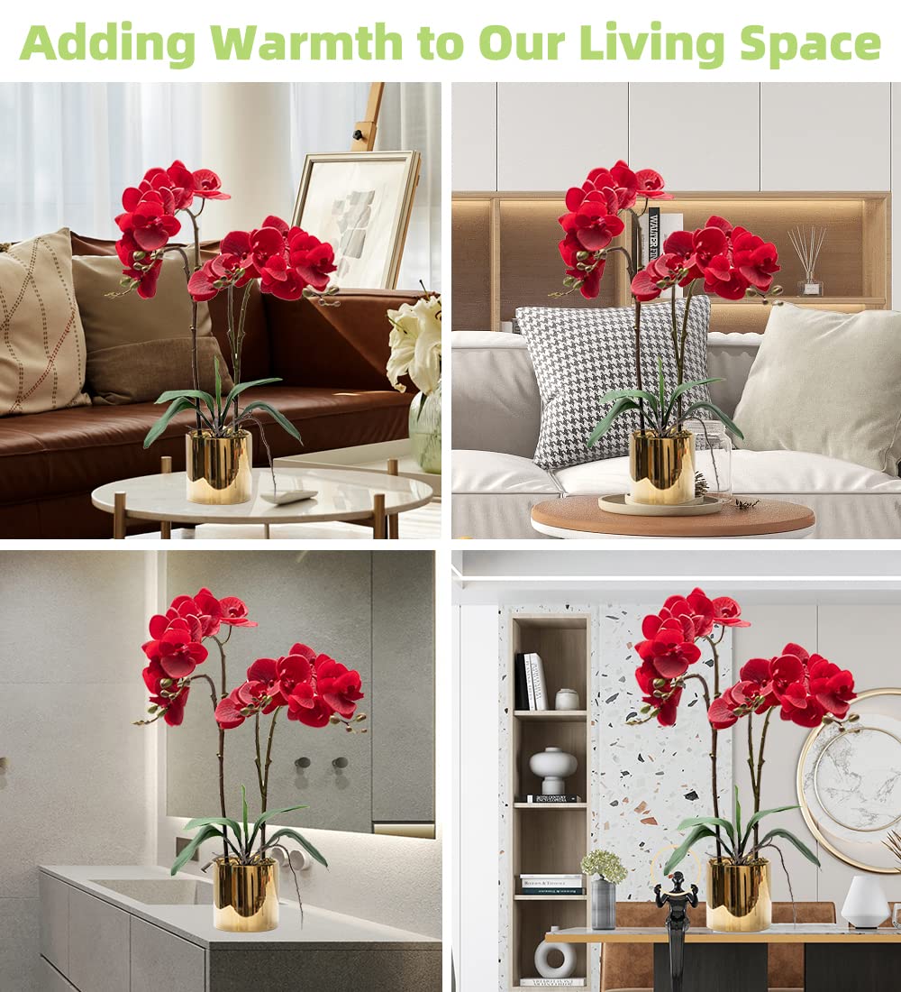 CXGS Künstliche Orchidee, Real Touch-Qualität, Kunstorchideen in Keramikvase, 50 cm, künstliche Phalaenopsis-Blumen, Kunstblumenarrangement für Tafelaufsatz, Heim- und Innendekoration, Rot